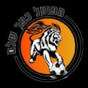 Hapoel Kfar Shalem
