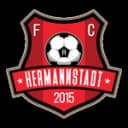 AFC Hermannstadt