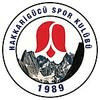 Hakkari Zapspor