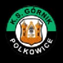 Górnik Polkowice