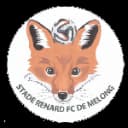 Stade Renard