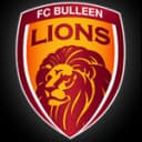 Bulleen Lions