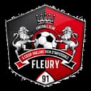 Fleury 91