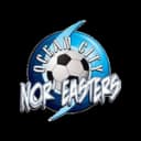 Ocean City Nor'easters