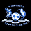 Hamilton Wanderers
