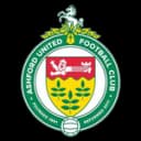 Ashford United