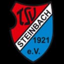 TSV Steinbach II