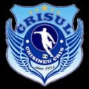 Crişul Chişineu Criş