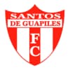 Santos DE Guapiles