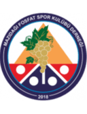 Mazıdağı Fosfatspor