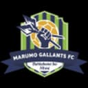 Marumo Gallants